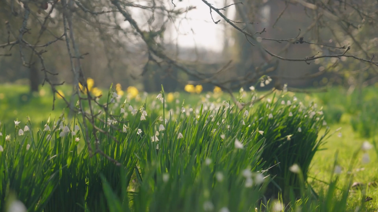 Planting bulbs in the Orchard - part 1