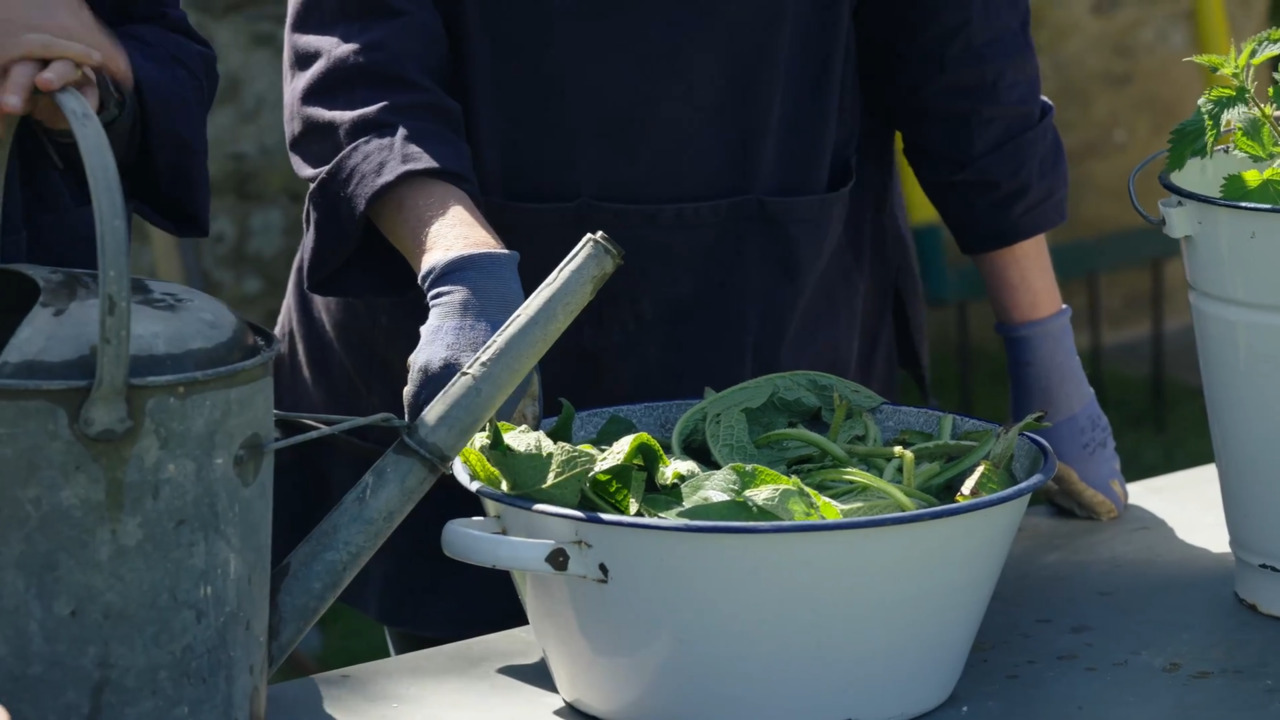 Compost teas and other ways to feed your soil 