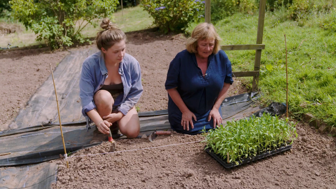 Seeds - Part 5: Planting your seedlings outside 