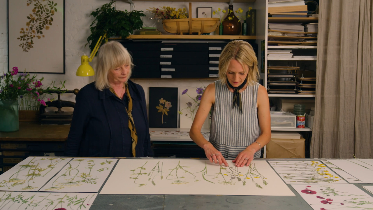 Create a complex artwork - Part 1: Arranging your pressed flower meadow