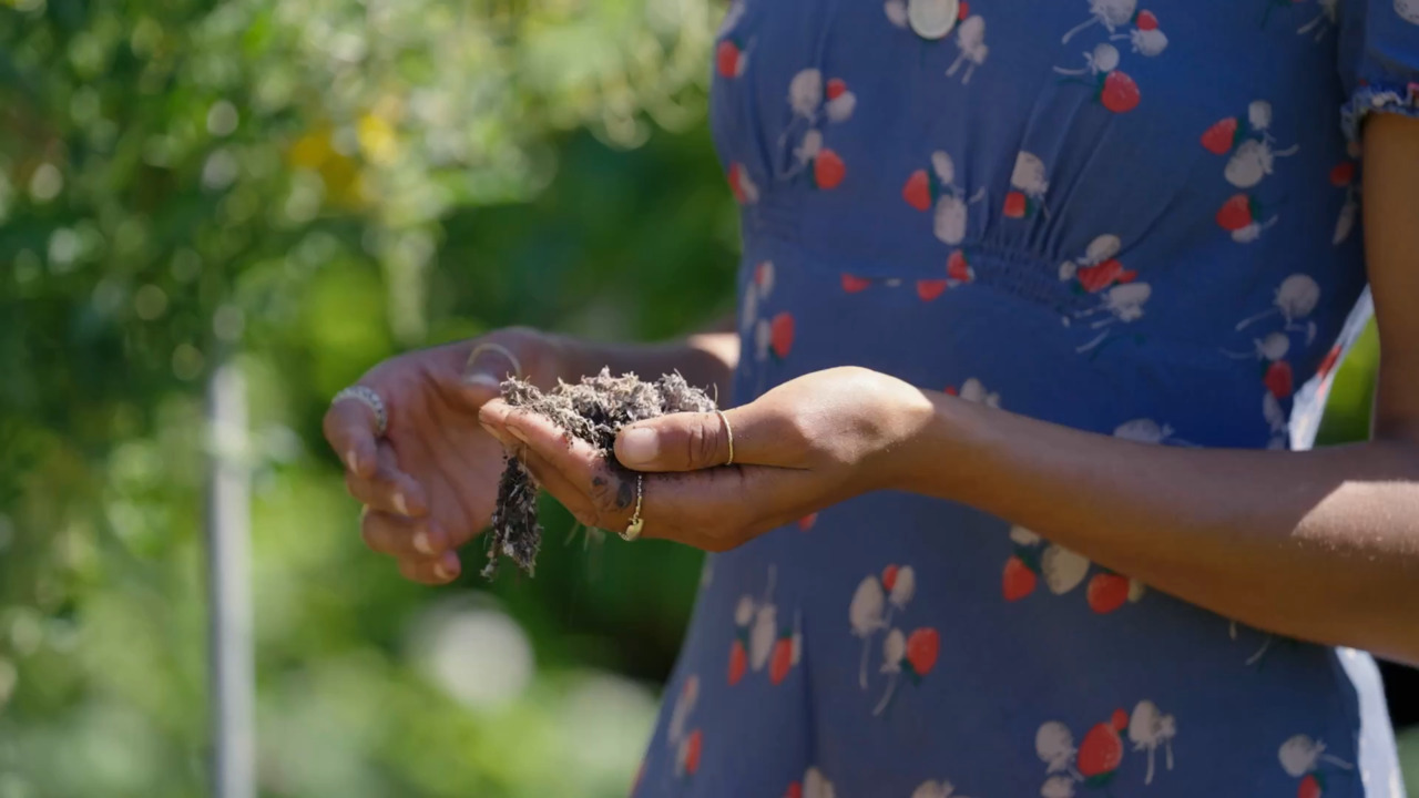 How to create healthy soil