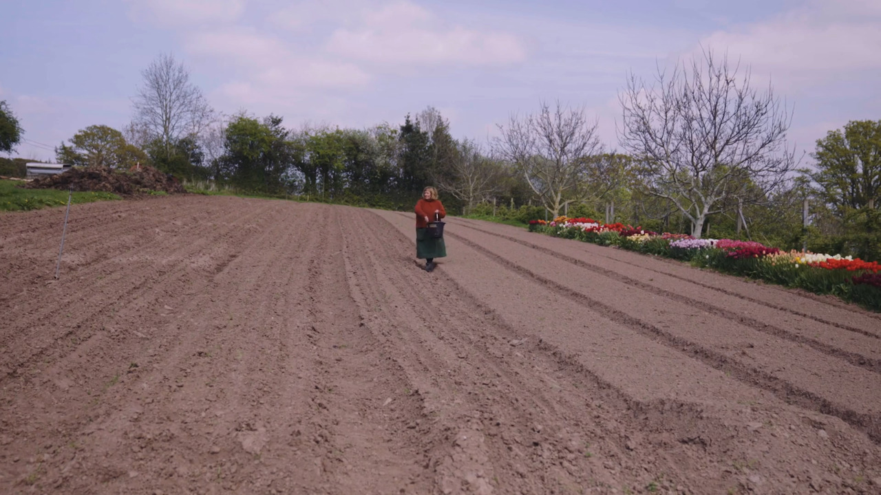 Biodynamic growing - Part 2: Preparation 500 