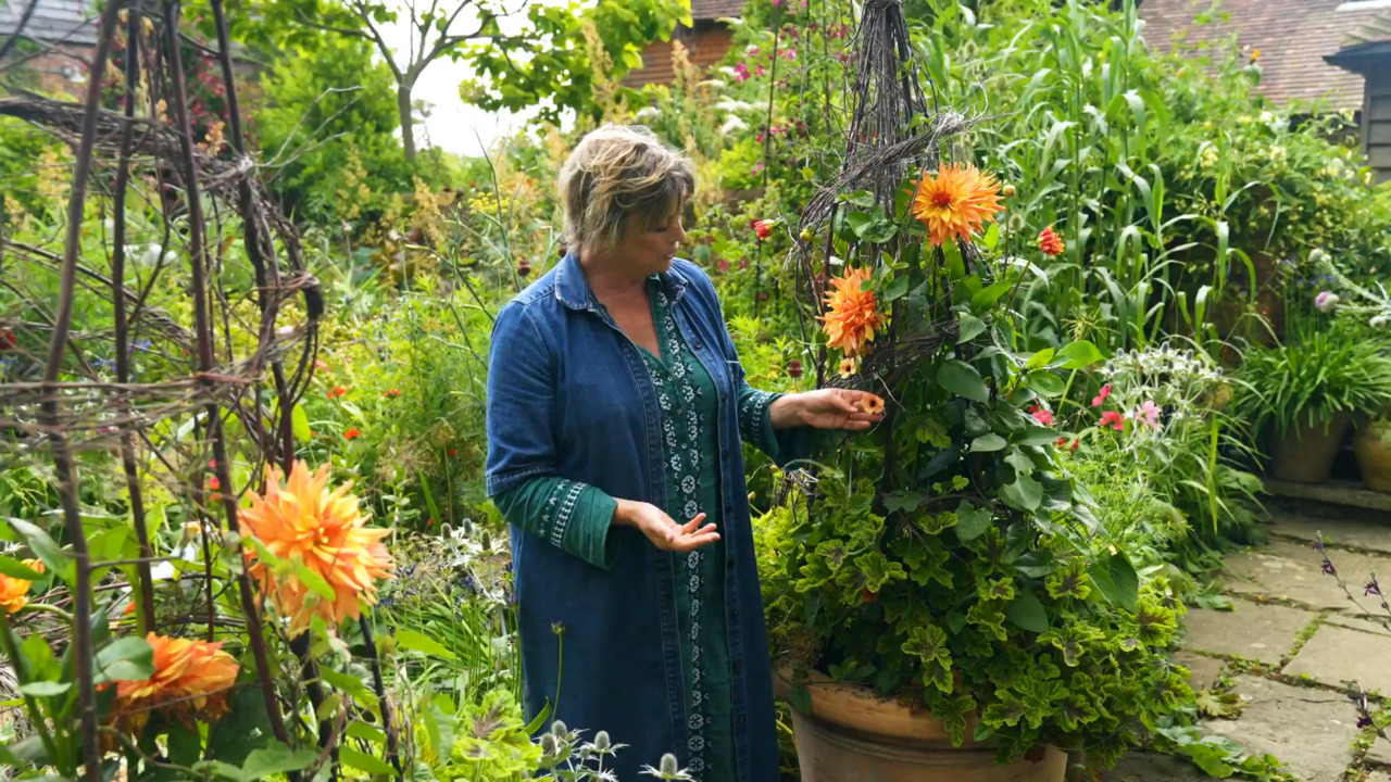 The whopper pot in July