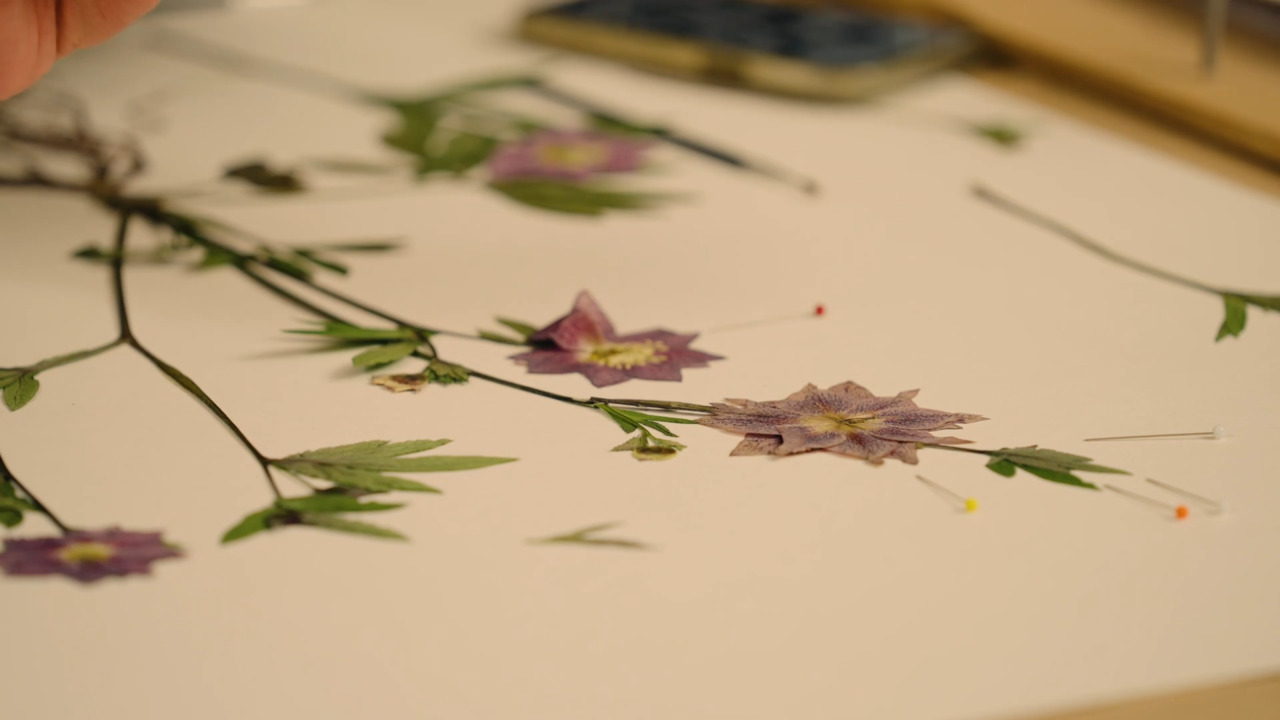 Create a large pressed flower artwork - Hellebore with roots
