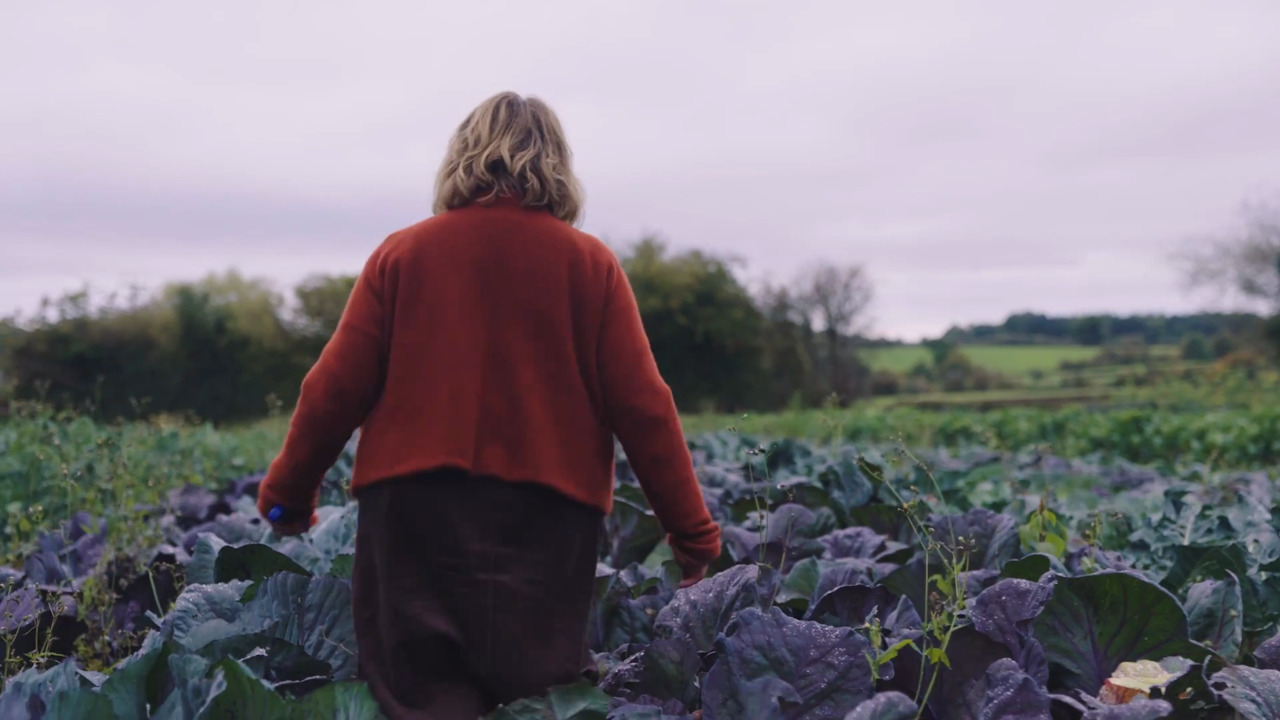 Growing vegetables: Brassicas 