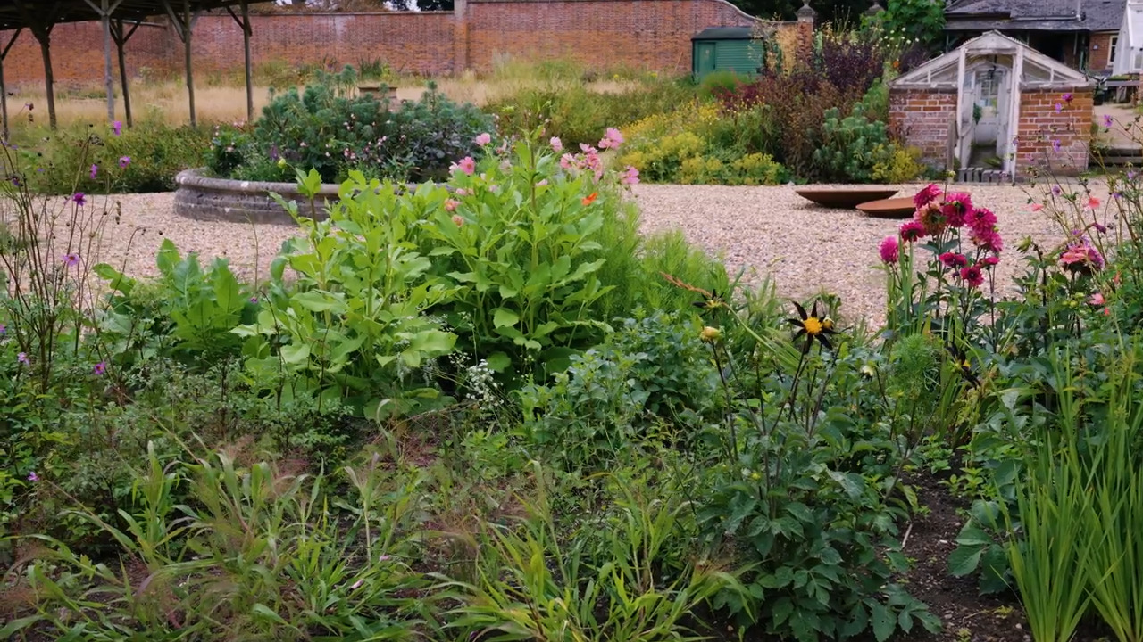 Understanding your borders 