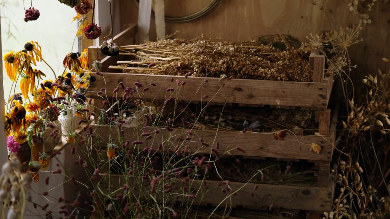 How to store and care for your dried flowers