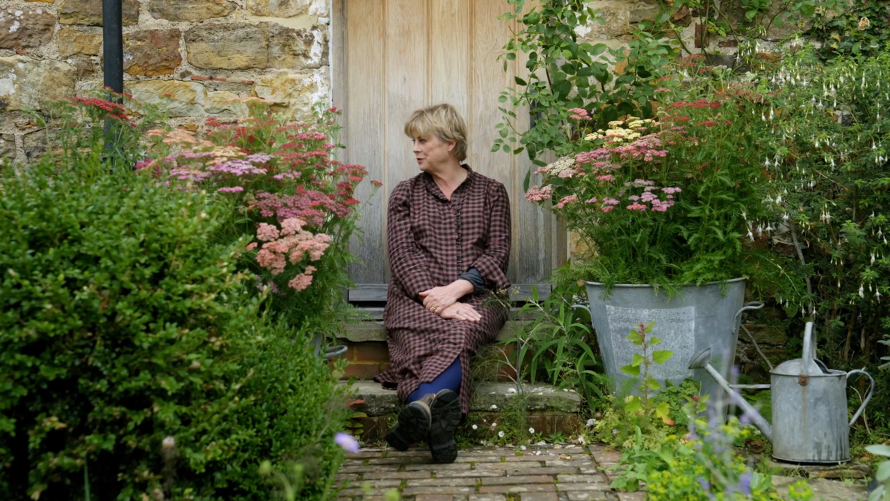 Perennial pots with Achillea 