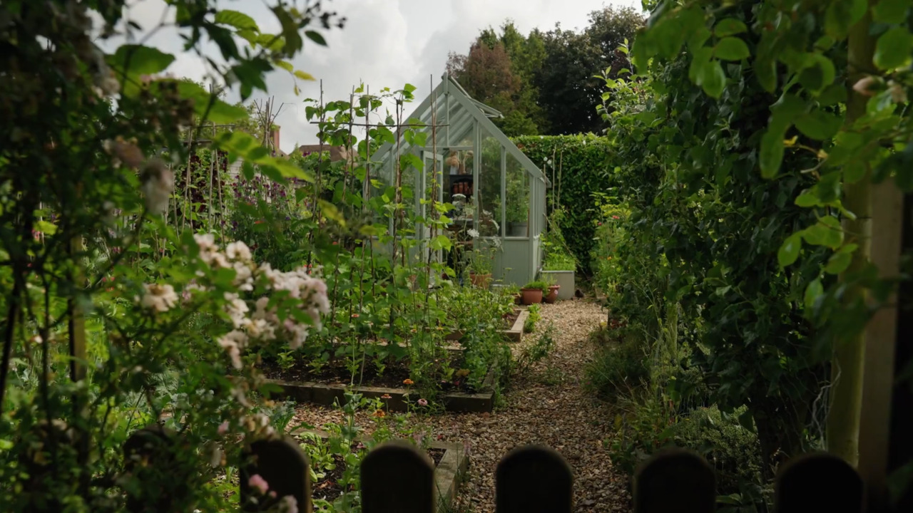 Using flowers grown from seed as companion plants