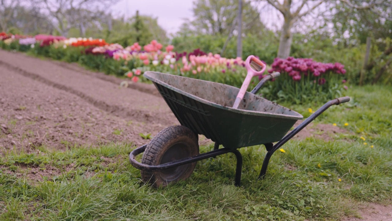 What to consider before you start 