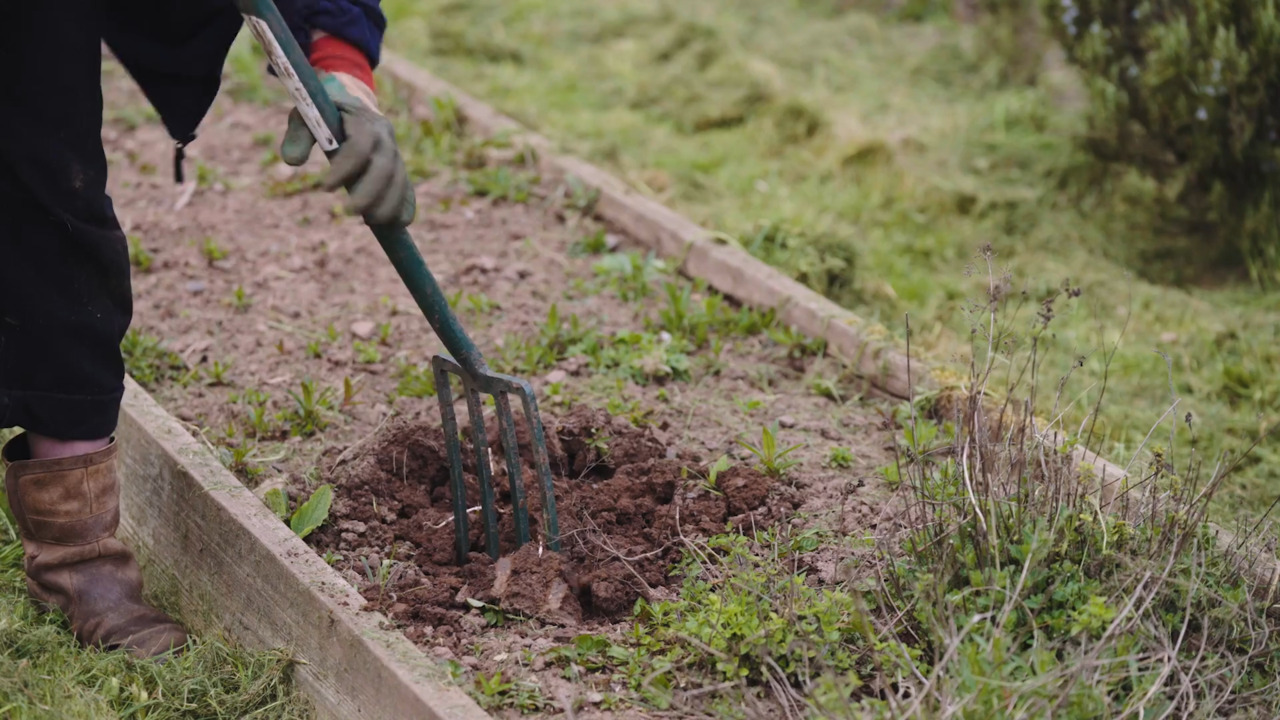 How to plan your plot - Part 4: Preparing your beds