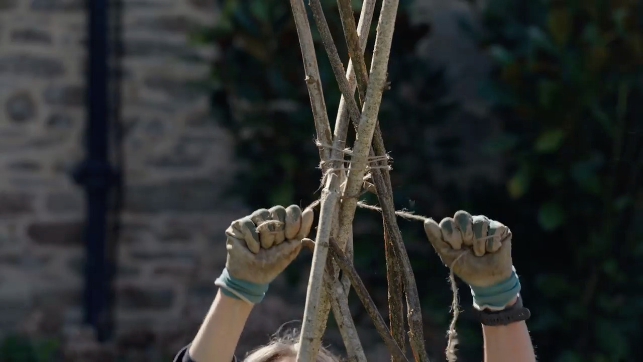 Sweet peas: Planting out and creating a teepee