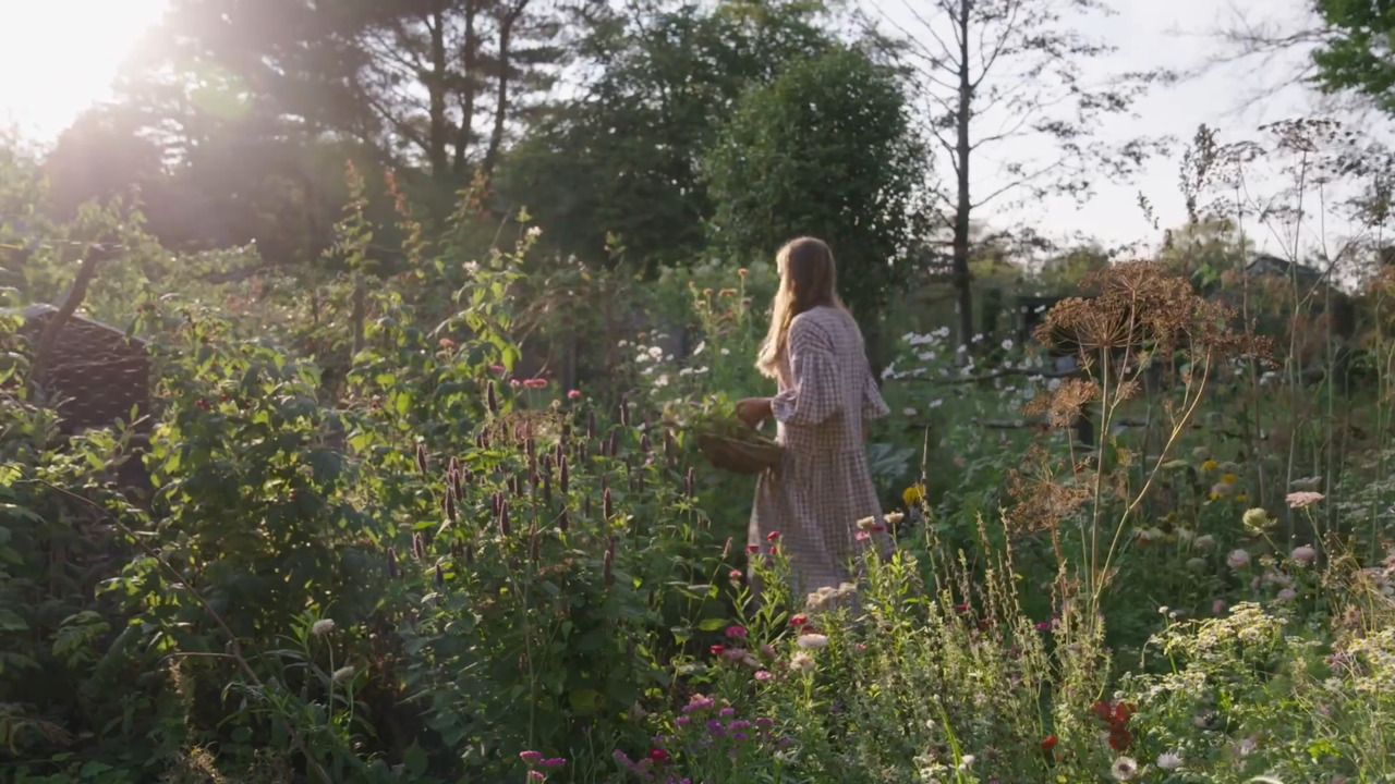 Growing your own flowers