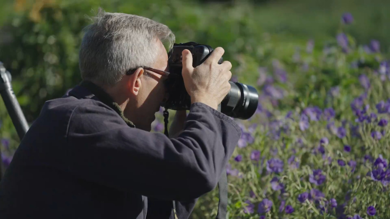 Shooting in harder light