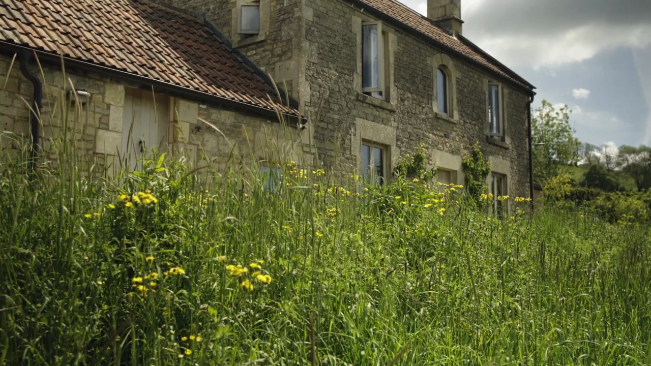 Hillside: meadows, hedgerows and orchards