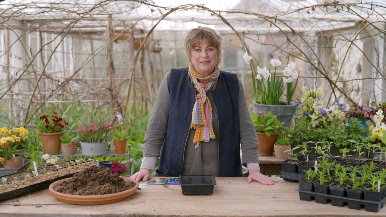 Sarah’s favourite ways to sow seeds