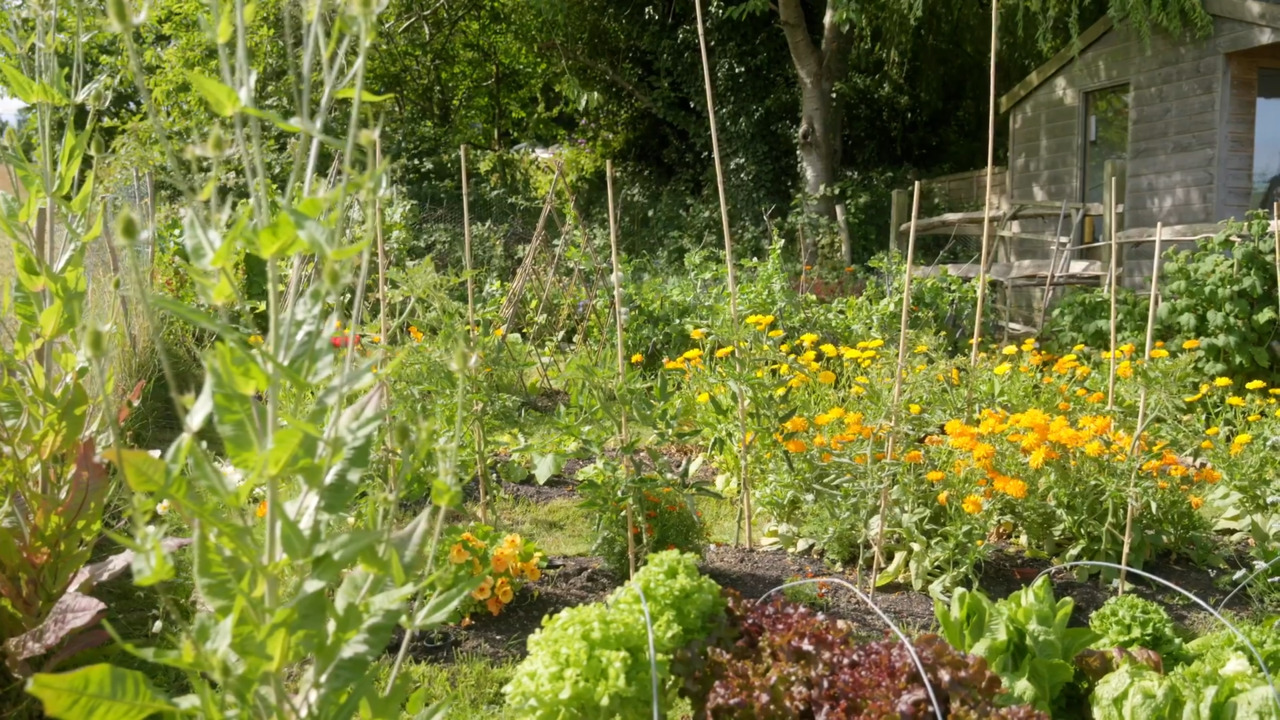 An organic approach to growing 