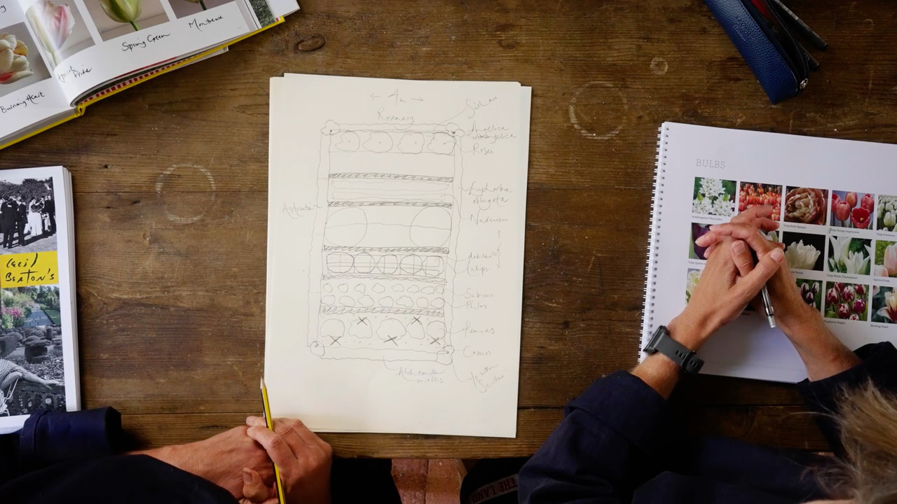 Planning your cut flower garden - Part 2: Designing a dedicated cut flower bed