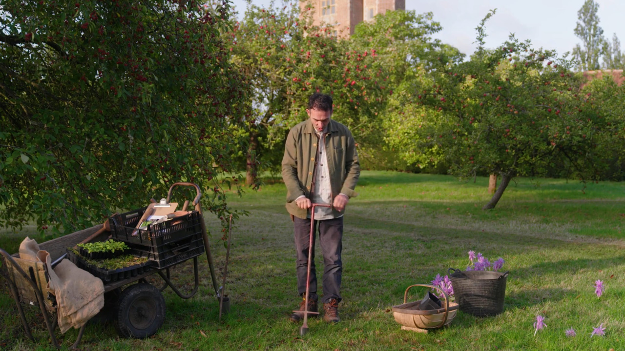 Planting bulbs in the Orchard - part 2