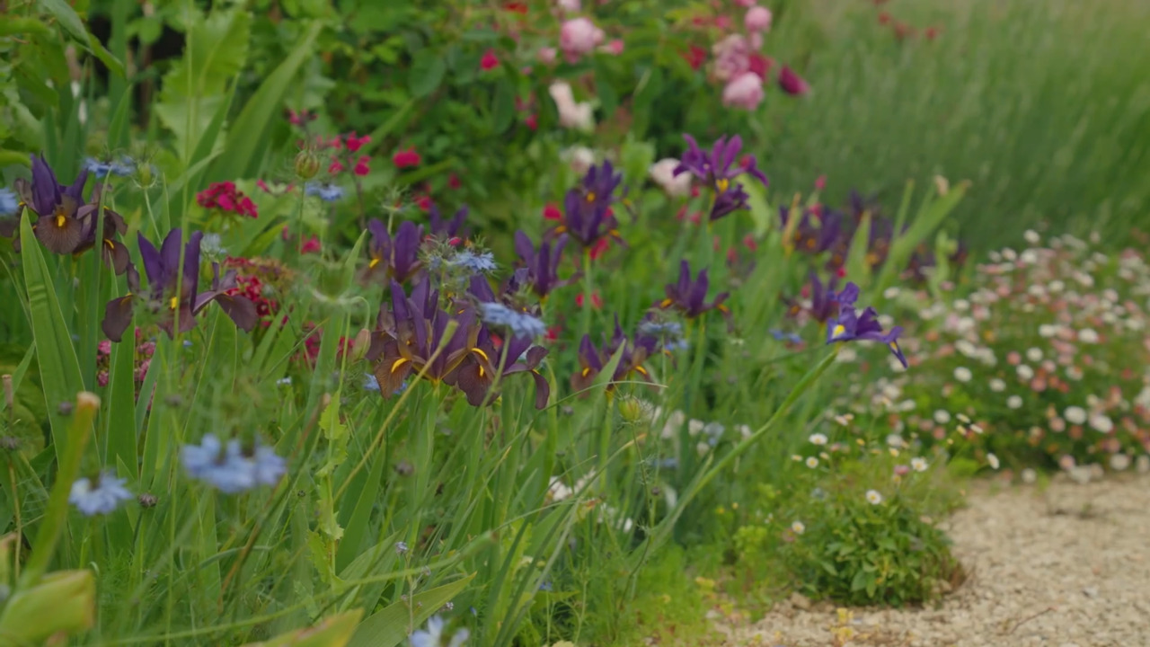 How to build a planting scheme
