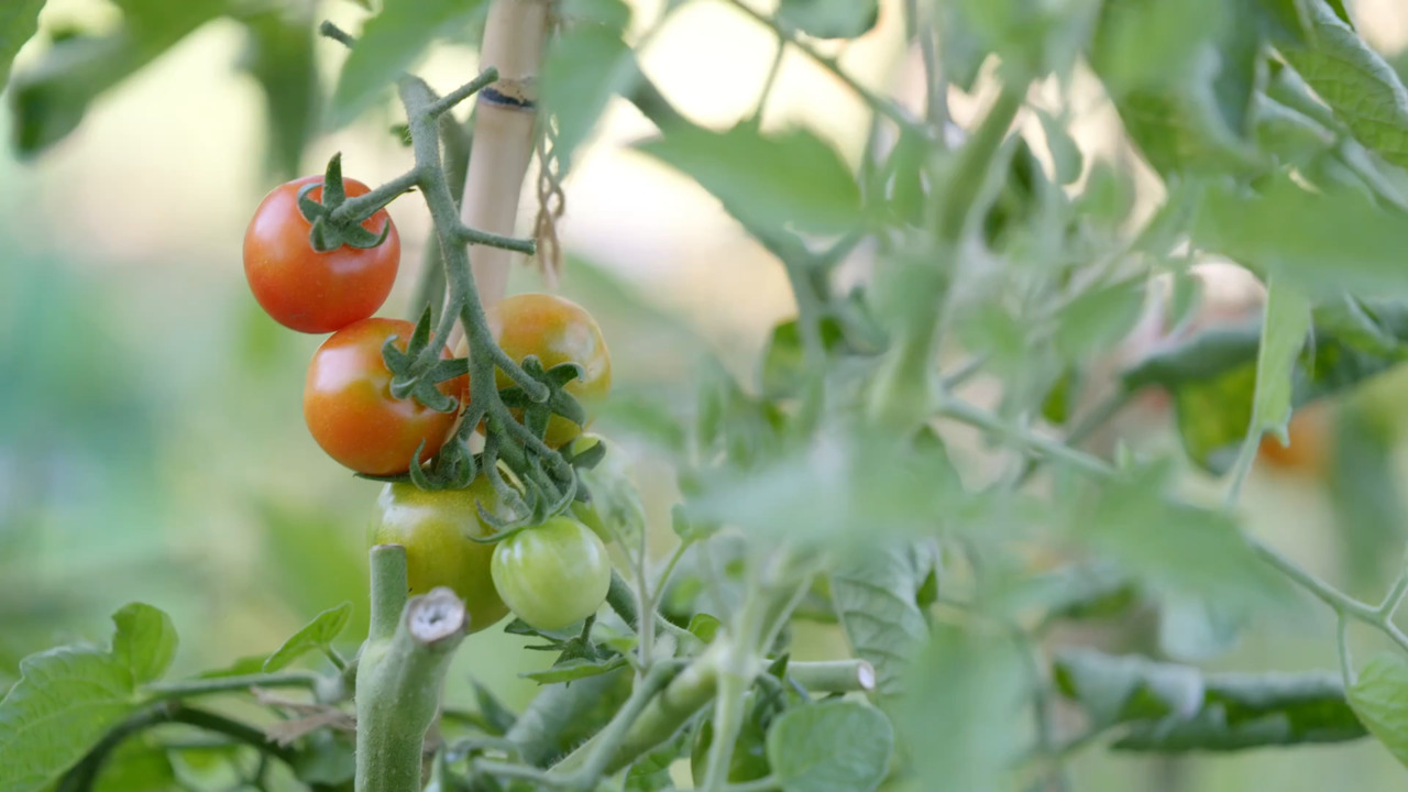 What to consider before you start 