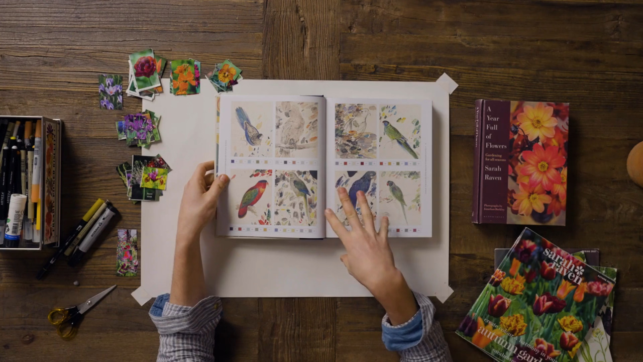 Using decoupage to plan your garden - part 1