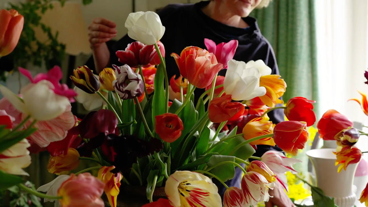 Tulips - Part 2: Arranging