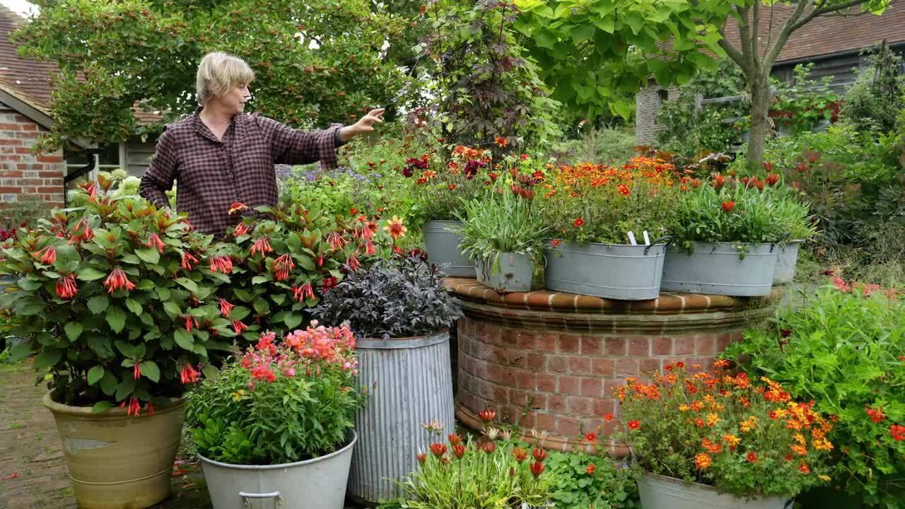 September pots in the Dutch yard 