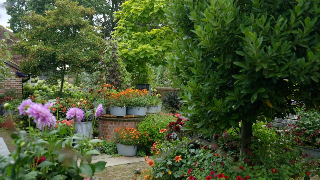 September pots in the Dutch yard 