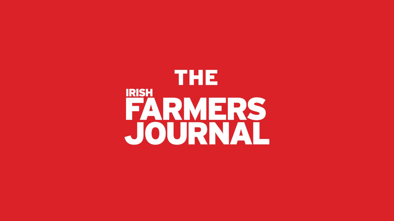 Irish Farmers Journal named 2023 Media Brand of the Year - Free