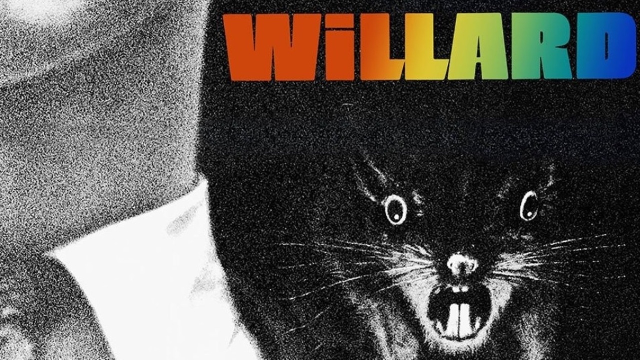 Willard Cellar Club Talking Pictures TV