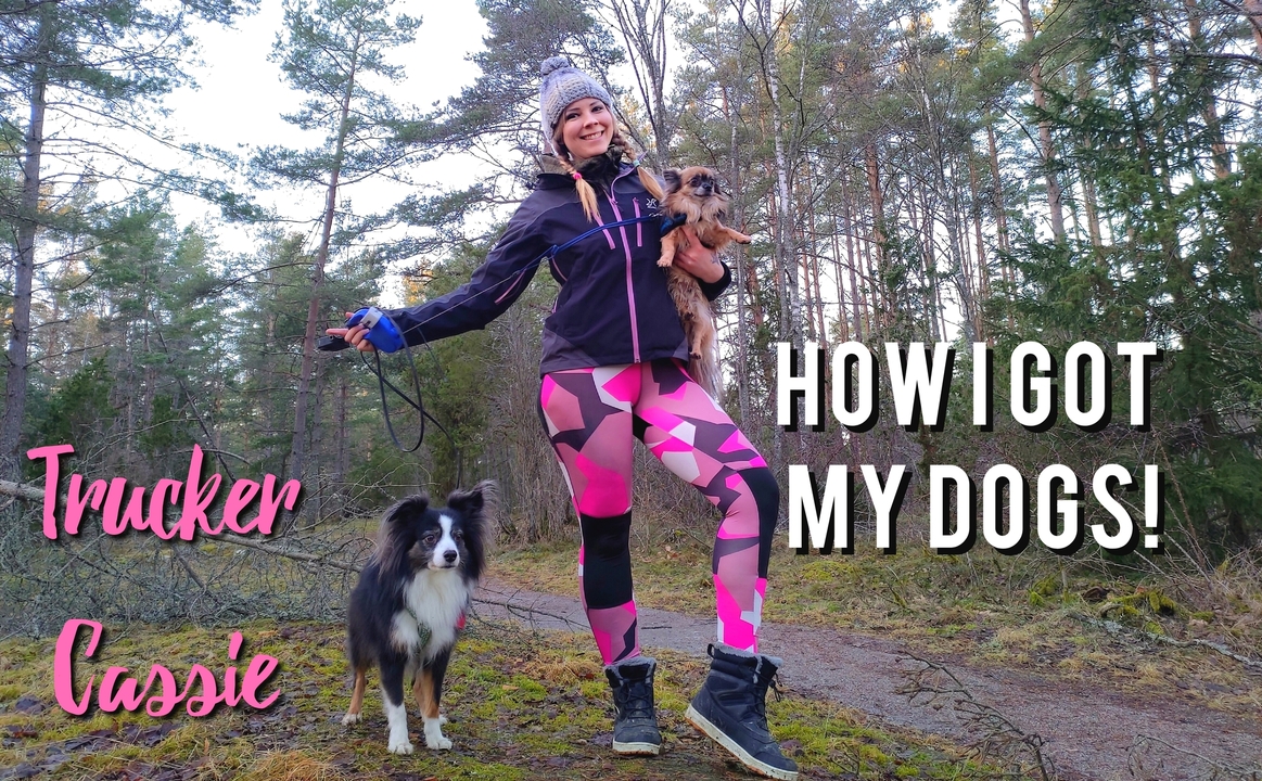 Hundpromenad med Cassie!