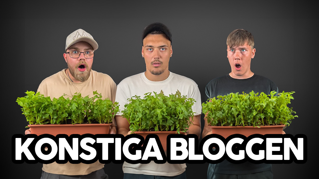 Konstiga Bloggen