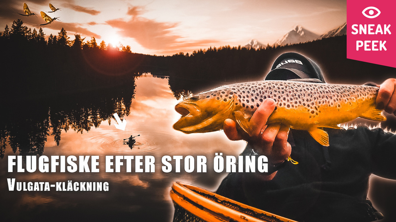 Flugfiske i flytring: Sneak peek