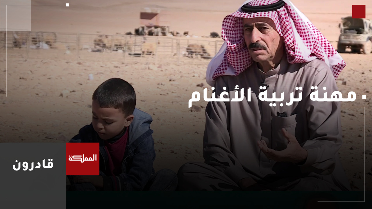  تربية الأغنام