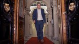 Pillar: Tax Profession