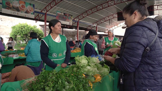 أسعار الغذاء تسجل قفزة تاريخية نتيجة اضطراب الإمدادات العالمية 