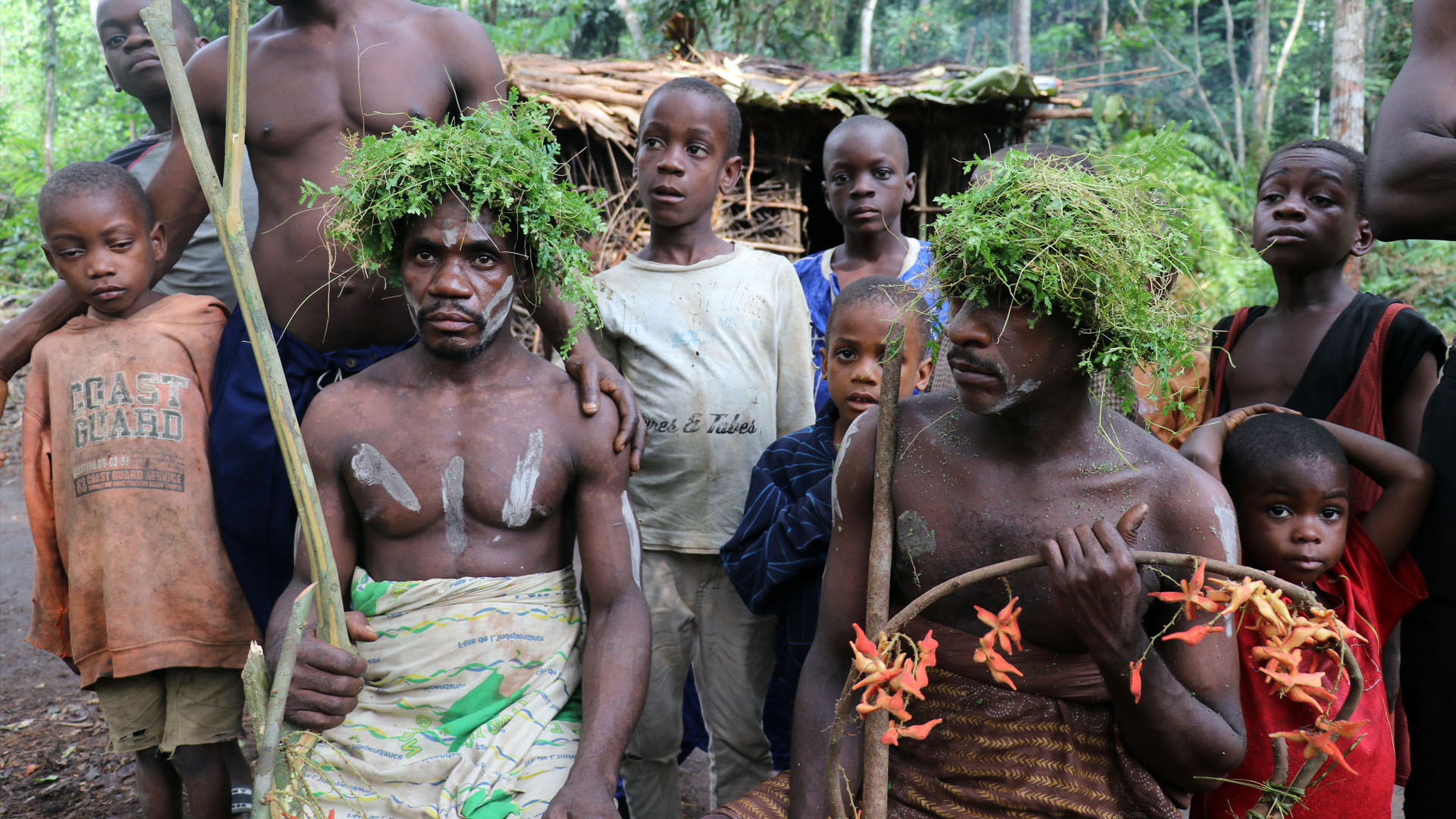 أحد أقدم الشعوب التي سكنت الغابات الأفريقية.. من هم البيغميون (الأقزام)؟ |  أسلوب حياة | الجزيرة نت