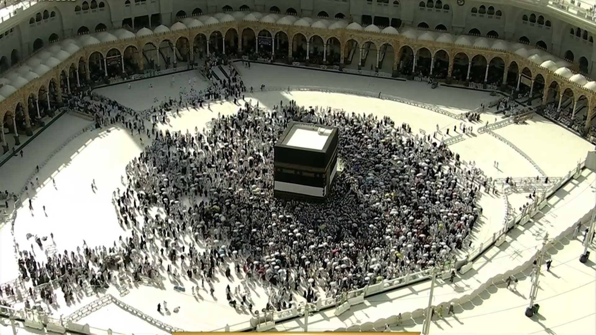 نقره لعرض الصورة في صفحة مستقلة