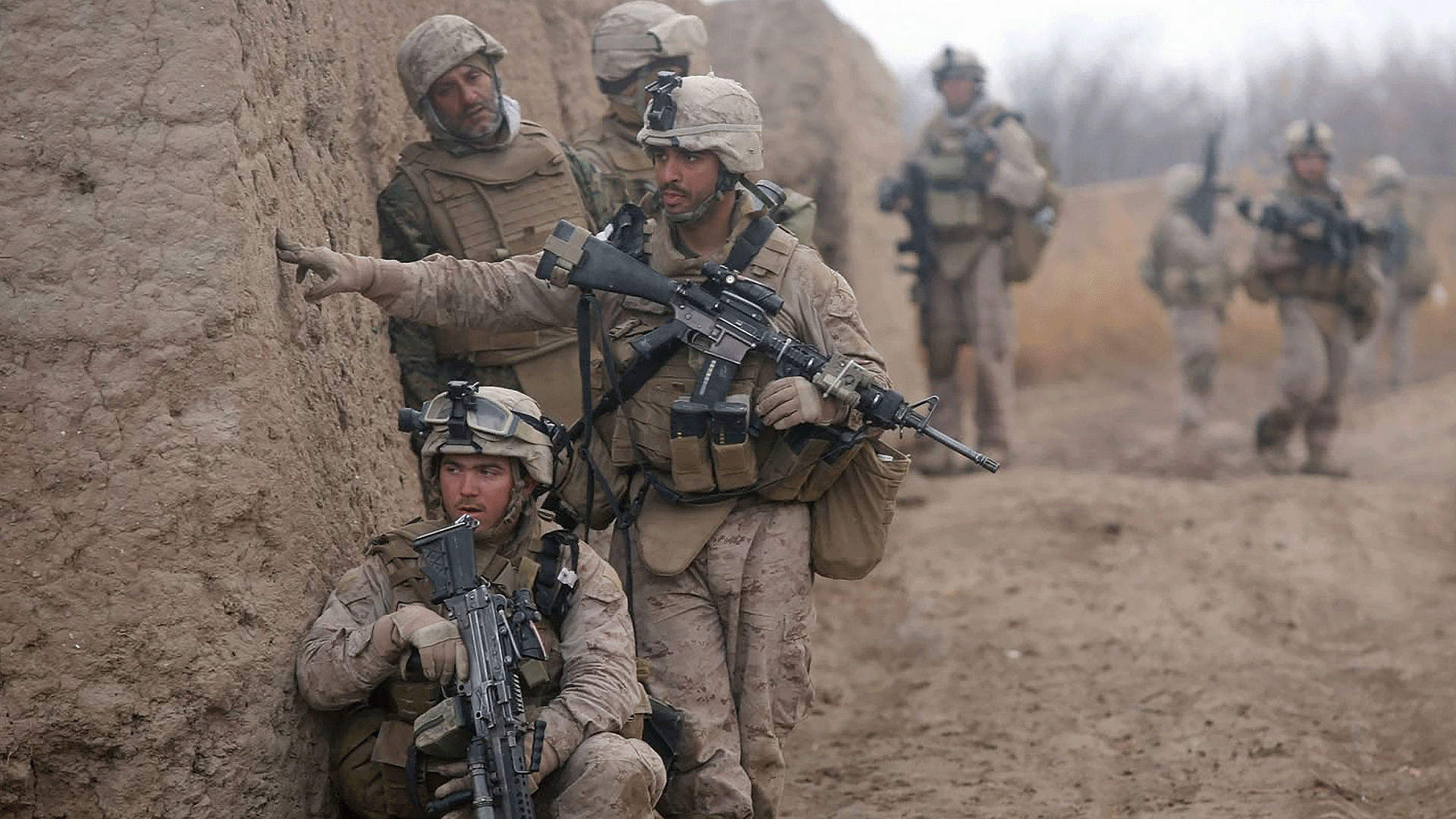 ���� ���� ������ �� ���� ������