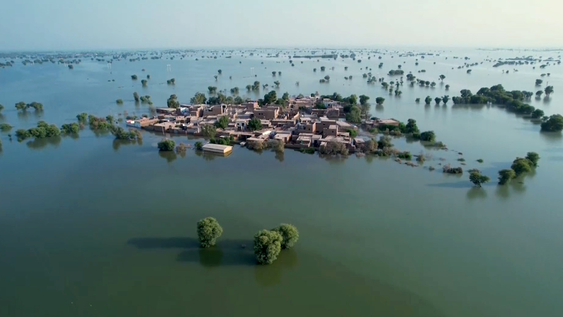 نقره لعرض الصورة في صفحة مستقلة
