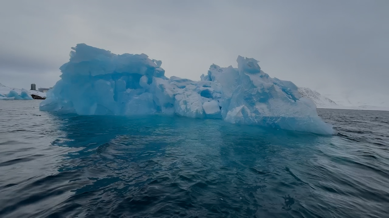 ���� ���� ������ �� ���� ������