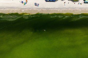 Sea off Thai island turns green