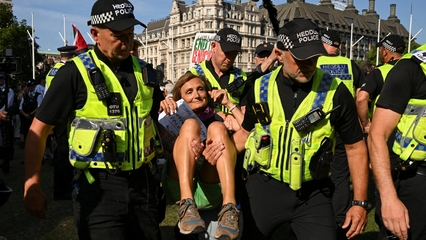 UK police arrest at least 365 people at Palestine Action protest in London
