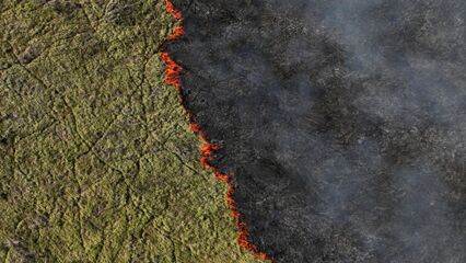 Brazil wildfires: Fires surge 980%, extreme drought expected