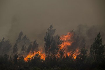 French wildfires trigger mass evacuations around Bordeaux