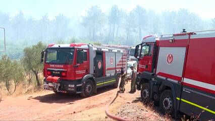 Turkiye’s wildfire season intensifies; crews struggle as winds spread flames in Hatay, İzmir