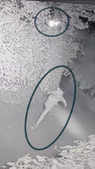 Man charged with attempted murder of OpenAI CEO Sam Altman