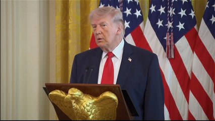 Donald Trump blasts NATO as ‘paper tiger’ for not backing US on Iran