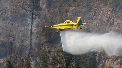 Argentina battling raging fires: Patagonia's forest under threat
